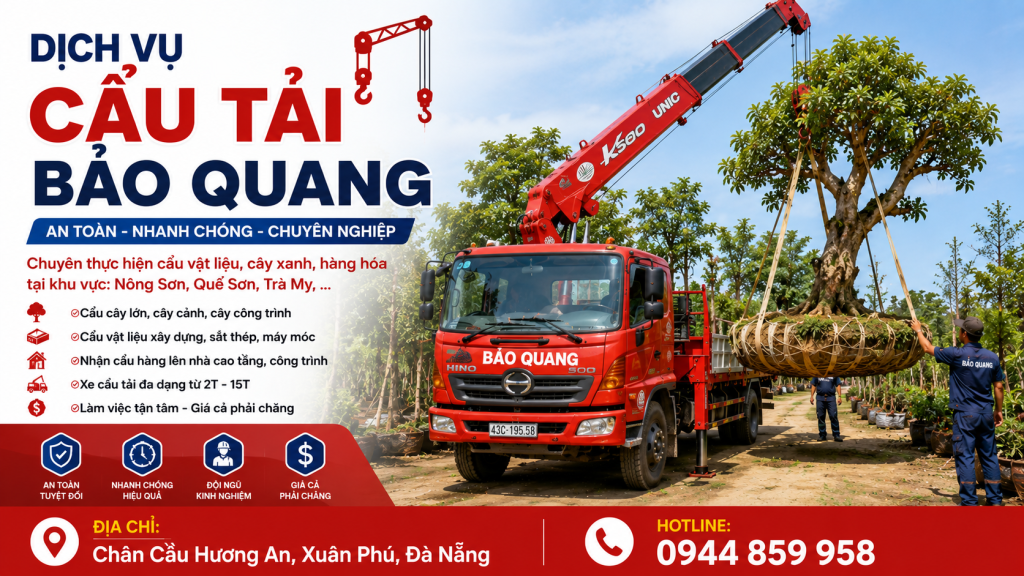 Cẩu tải Bảo Quang