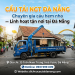 cau-tai-NGT-Da-Nang