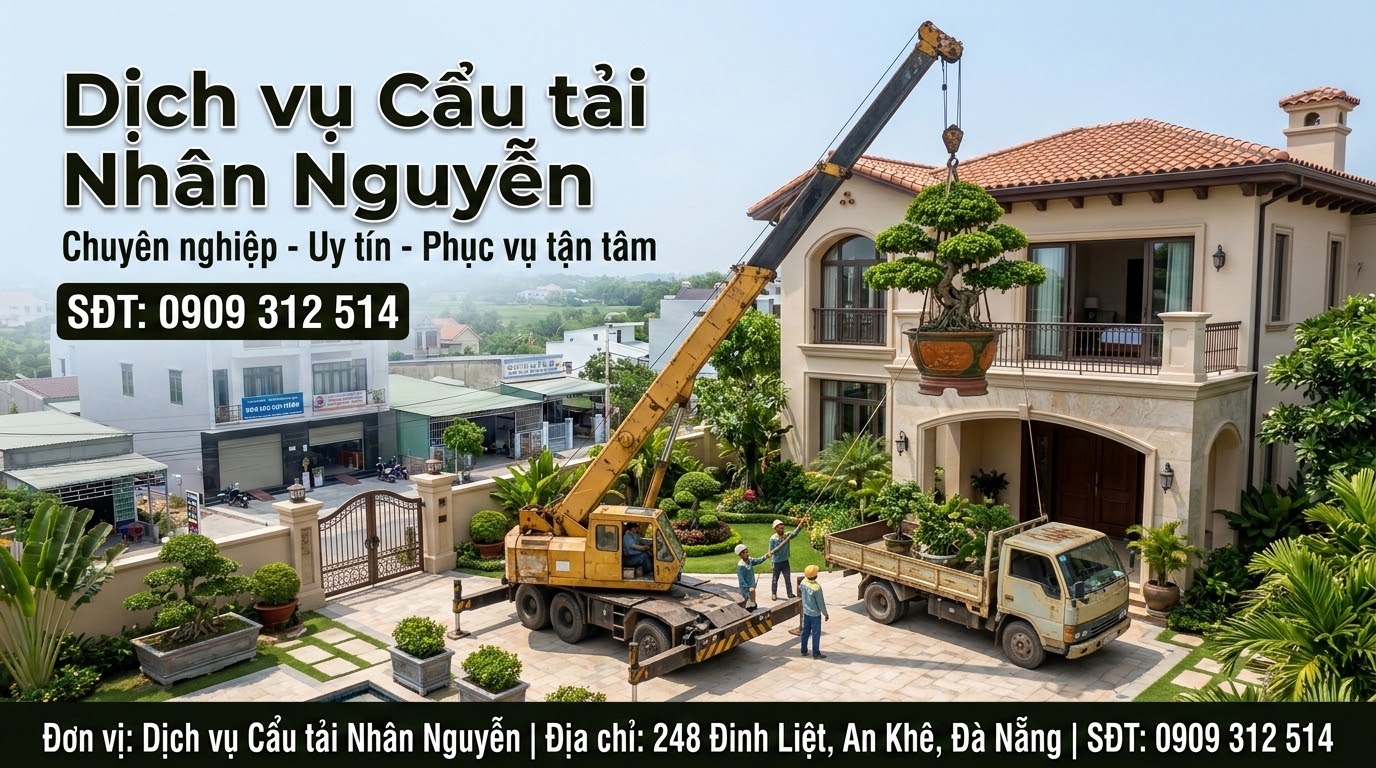 Cẩu tải Nhân Nguyễn